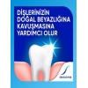 Sensodyne Diş Macunu & Naneli 100ml