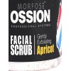 Morfose Yüz Bakım Maskesi & Ossıon Kayısı Özlü Peelıng Etkili 400Ml
